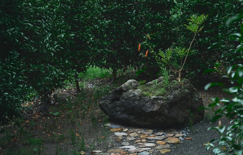 部屋の写真